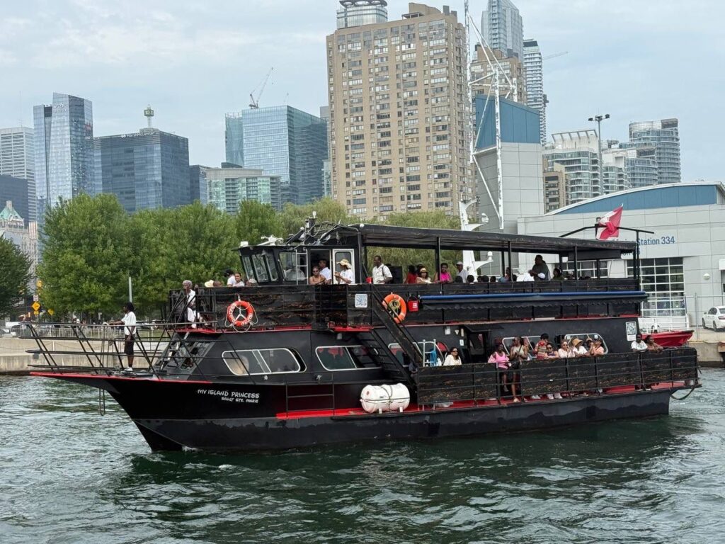 Side view of Island Princess at the dock